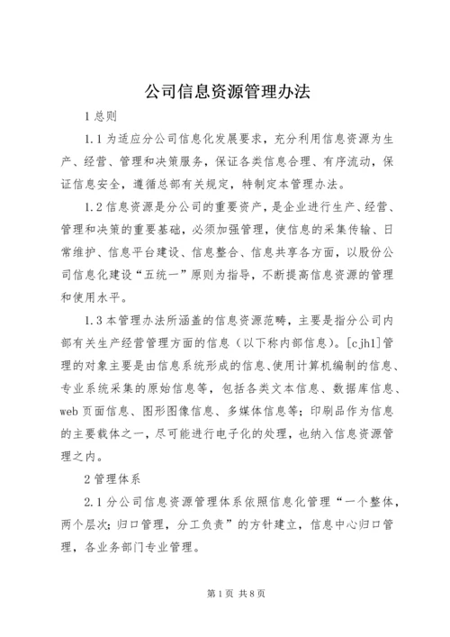 公司信息资源管理办法 (2).docx