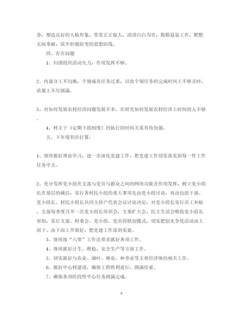 精编村书记年度述职报告范文.docx