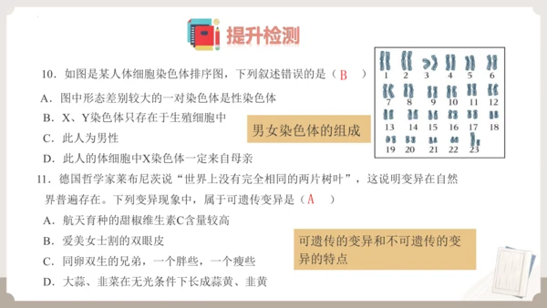 复习专题六生物的遗传与变异（串讲课件）-八年级生物上学期期末考点大串讲（人教版）(共23张PPT)