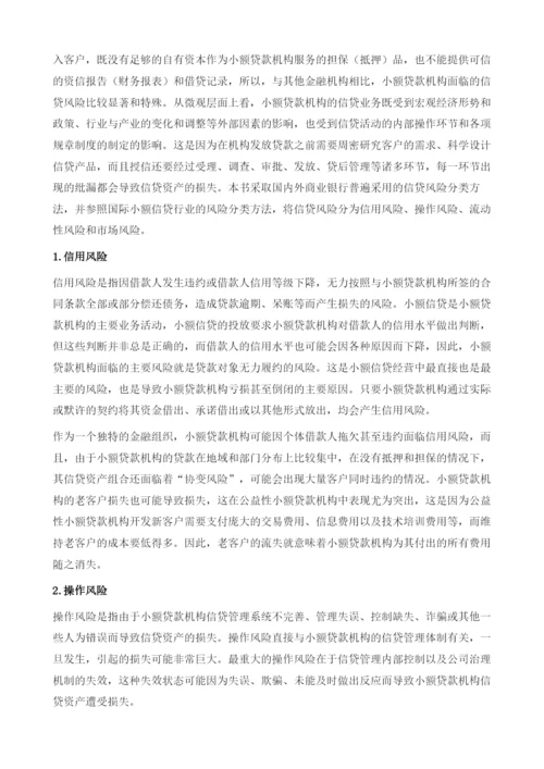 小额贷款机构的信贷风险管理-内部控制和欺诈防范.docx