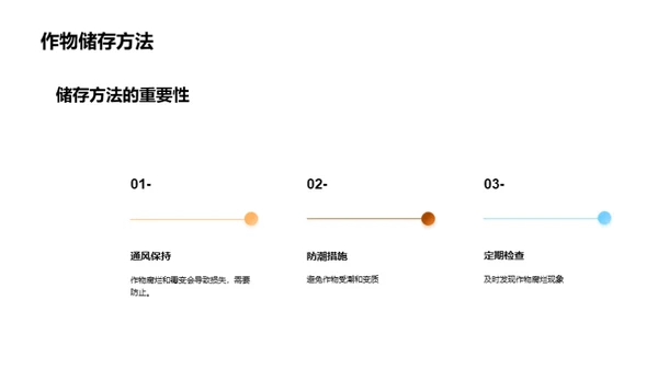 秋分时节的农业收获