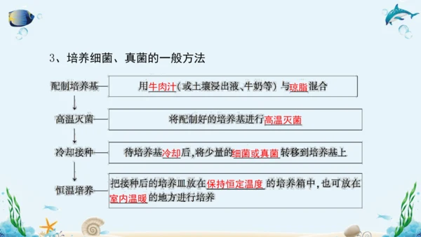 人教版八年级生物上册5.4《细菌和真菌》复习课件（含31张ppt）