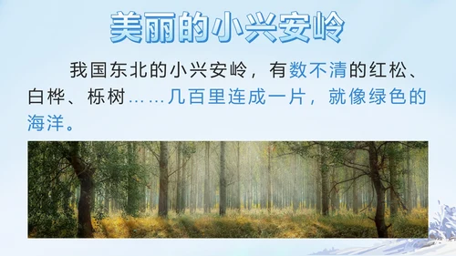 部编版三年级上册第二十课美丽的小兴安岭PPT模板