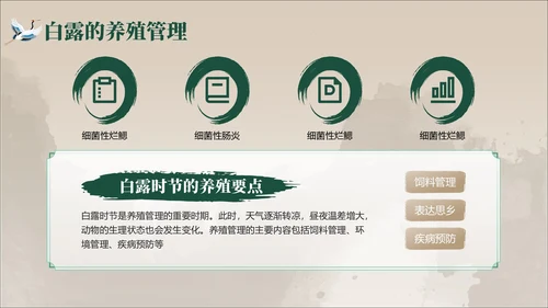 褐绿色中国风白露节气学校主题班会PPT模板