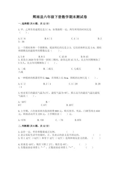 辉南县六年级下册数学期末测试卷完整参考答案.docx