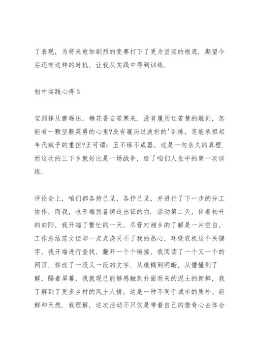 初中实践心得范文10篇.docx