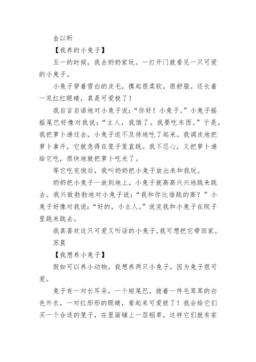 我想养的小动物100字写话.docx