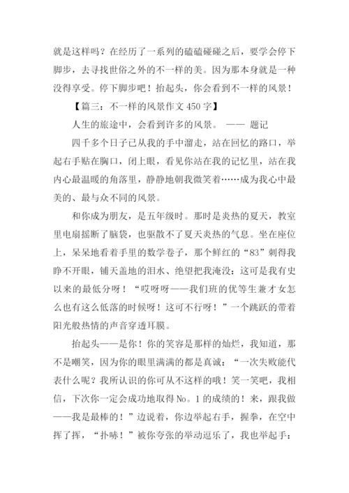 不一样的风景作文.docx