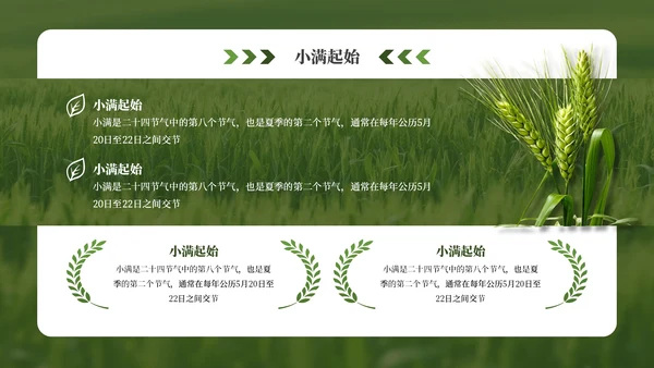 绿色小满节气介绍通用模板