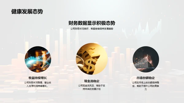 财务状况月度分析