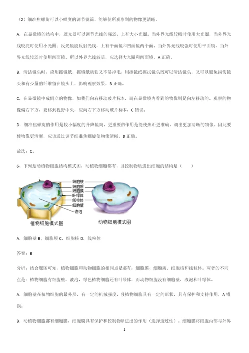 人教版2023初中生物七年级上册第二单元生物体的结构层次专项训练.docx