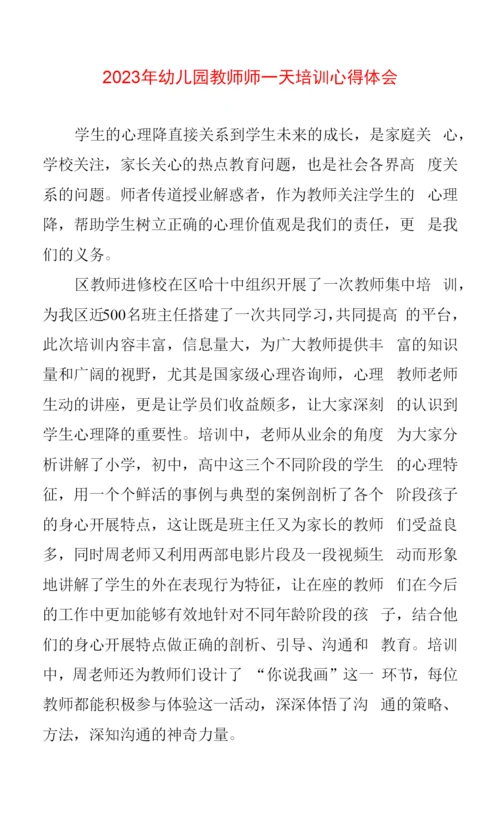 2023年幼儿园教师师培训心得体会.docx