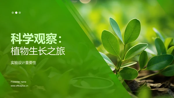 科学观察：植物生长之旅