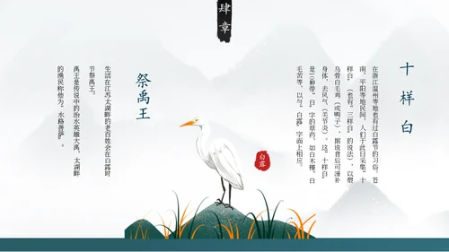 白露白鹤通用PPT模板