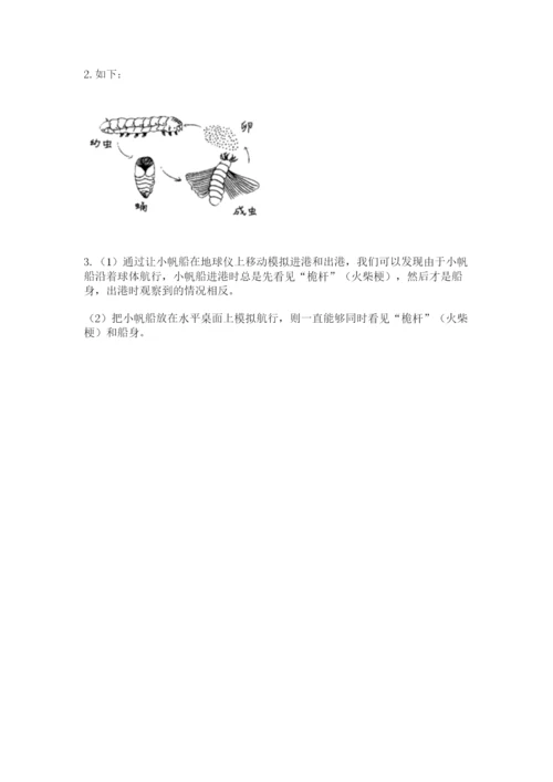 教科版科学三年级下册 期末测试卷精品【考点梳理】.docx