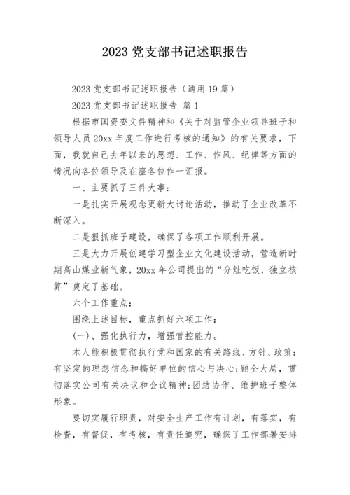 2023党支部书记述职报告.docx