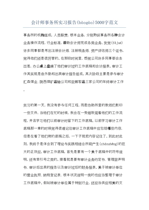 会计师事务所实习报告5000字范文(共13页)