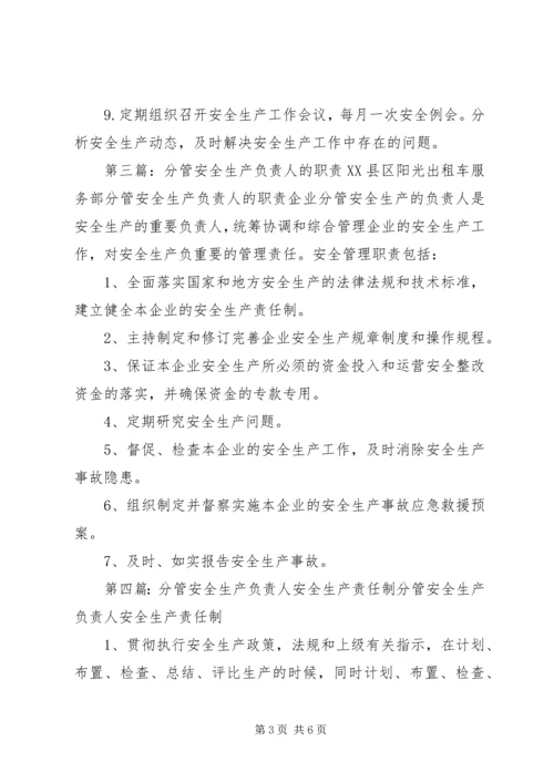 企业分管安全工作负责人安全生产职责精编.docx