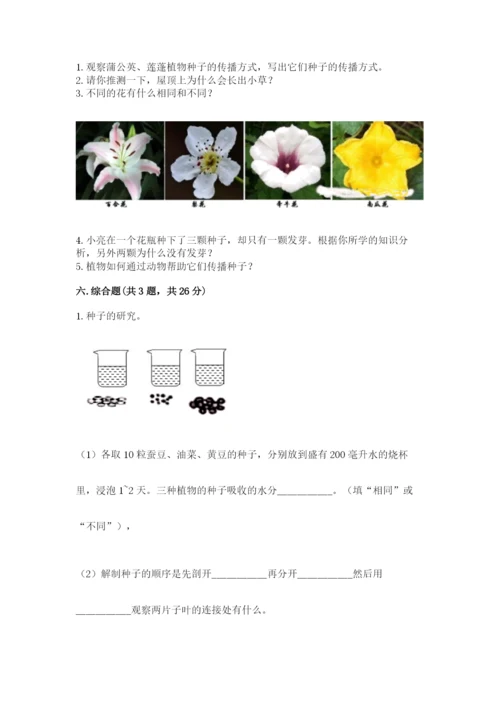 教科版四年级下册科学第一单元《植物的生长变化》测试卷【巩固】.docx