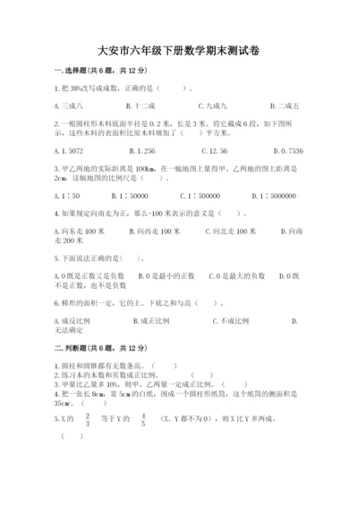 大安市六年级下册数学期末测试卷（培优）.docx