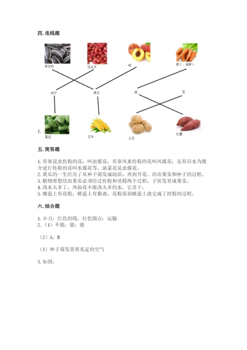 科学四年级下册第一单元植物的生长变化测试卷及参考答案【能力提升】.docx