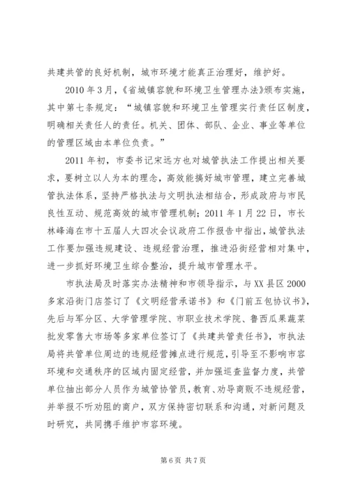 城管执法整治工作报告.docx