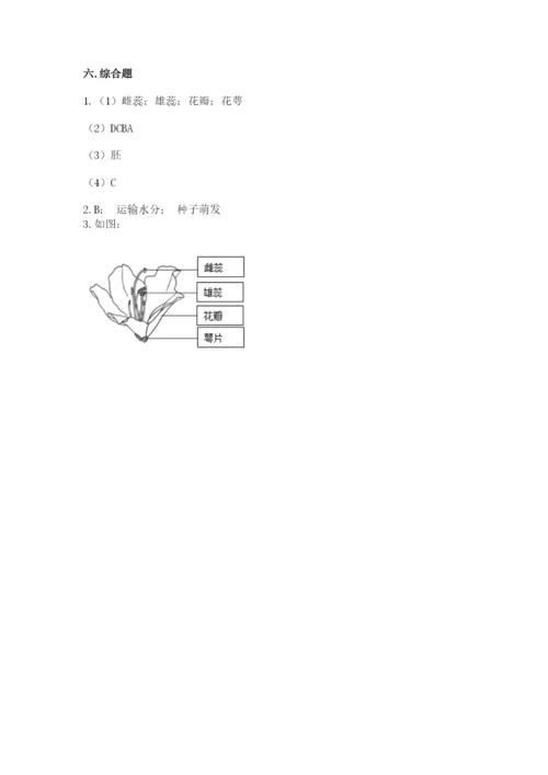 教科版科学四年级下册第一单元《植物的生长变化》测试卷精品（实用）.docx