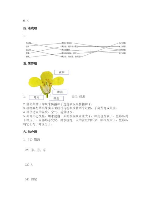 科学四年级下册第一单元《植物的生长变化》测试卷（考点梳理）.docx