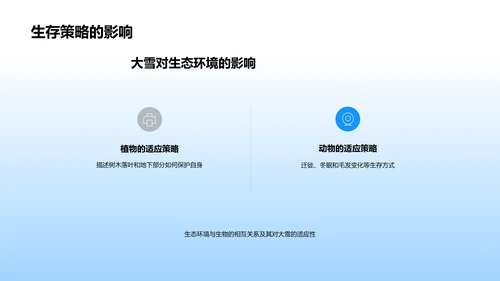 大雪科学教学实践PPT模板