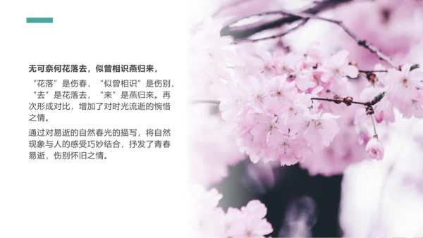 课外古诗词诵读 浣溪沙（一曲新词酒一杯）课件