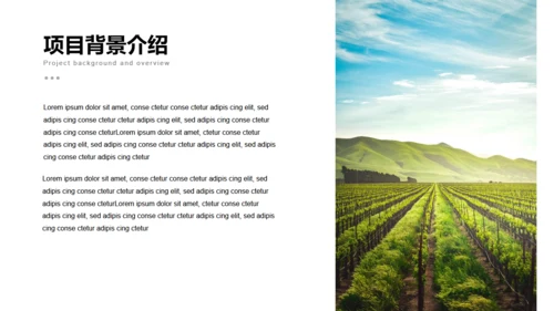 美丽乡村旅游项目乡村旅游通用PPT模板