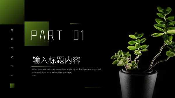 植物系商业计划书通用PPT模板