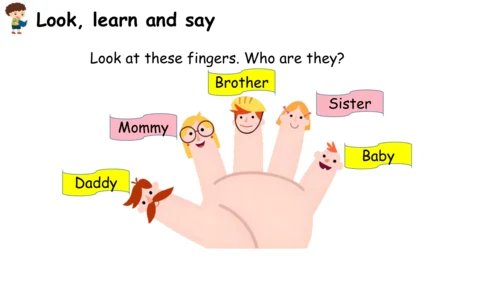 Unit 2   Different families课件（91张PPT)