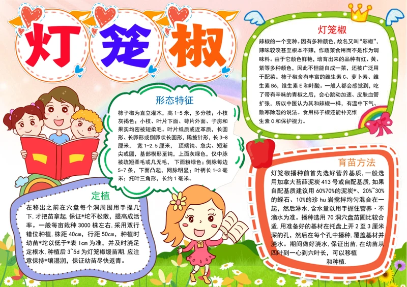 灯笼椒成长日记小报植物生长手抄报电子小报