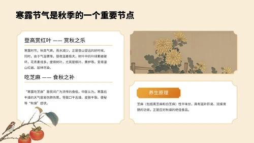 橙色中国风寒露节气PPT模板