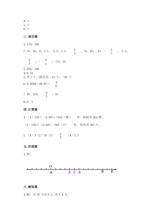 田林县六年级下册数学期末测试卷带答案.docx