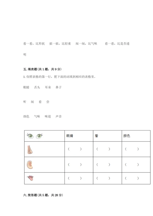 教科版一年级下册科学期末测试卷带答案（培优b卷）.docx