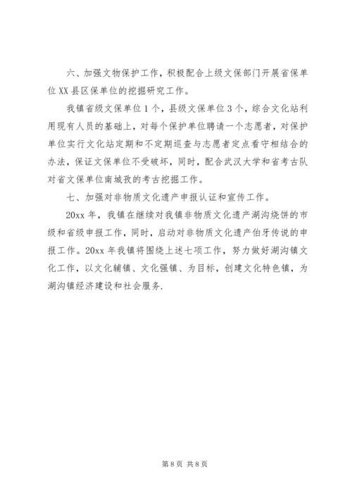 乡镇文化站年度工作计划.docx