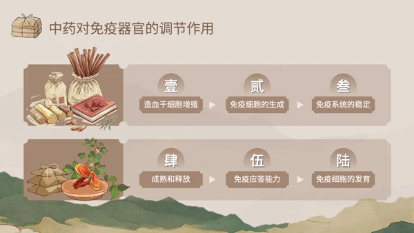 浅棕色中国风中医药对免疫系统调节PPT