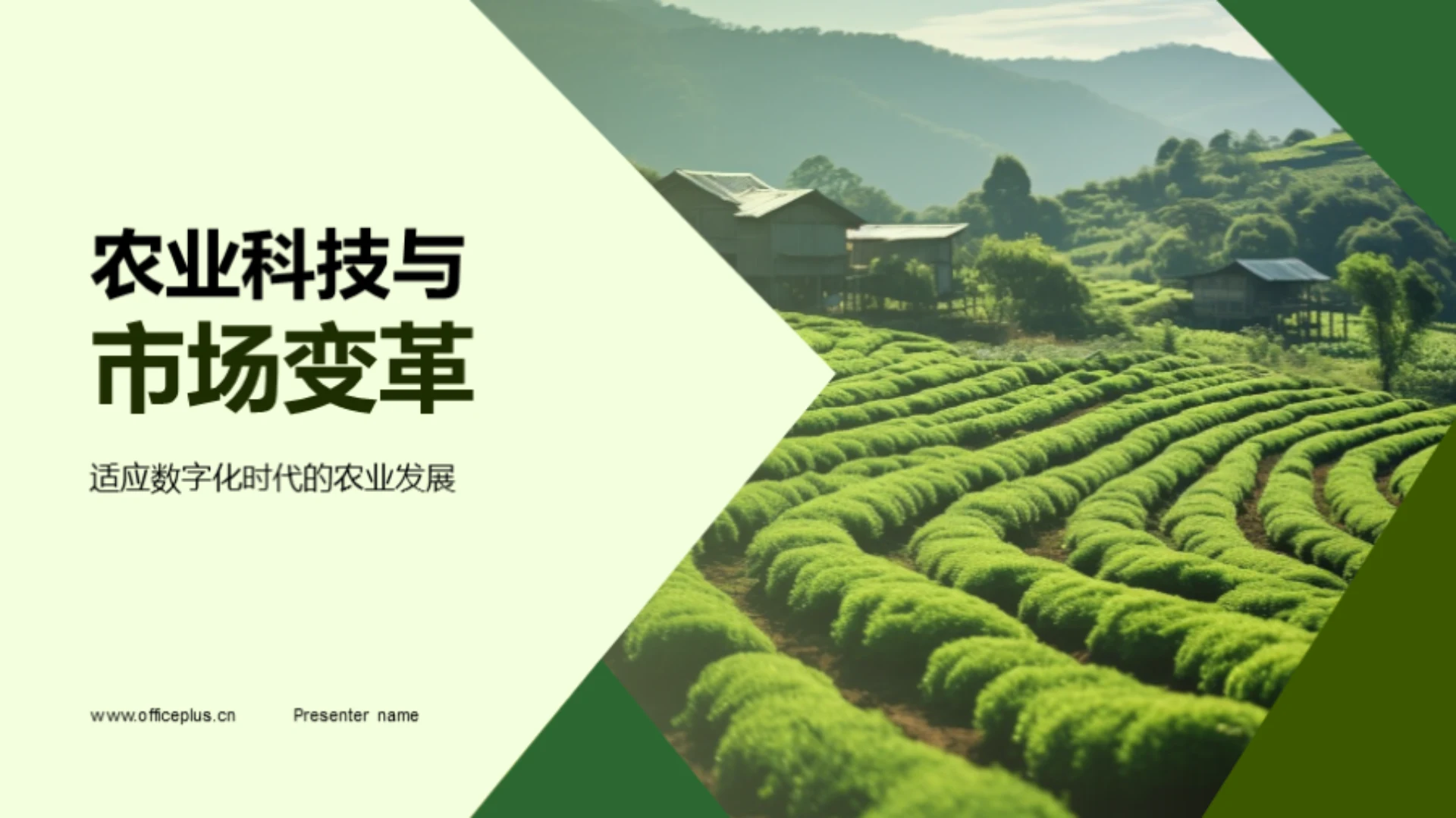 农业科技与市场变革