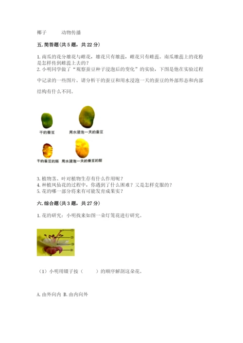 科学四年级下册第一单元《植物的生长变化》测试卷汇编.docx