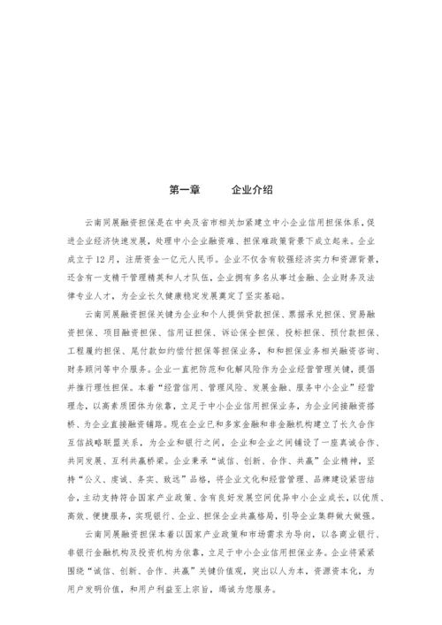 融资担保有限公司员工手册模板.docx