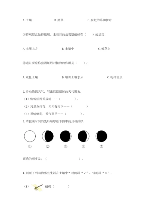 教科版科学二年级上册期末测试卷精品（黄金题型）.docx