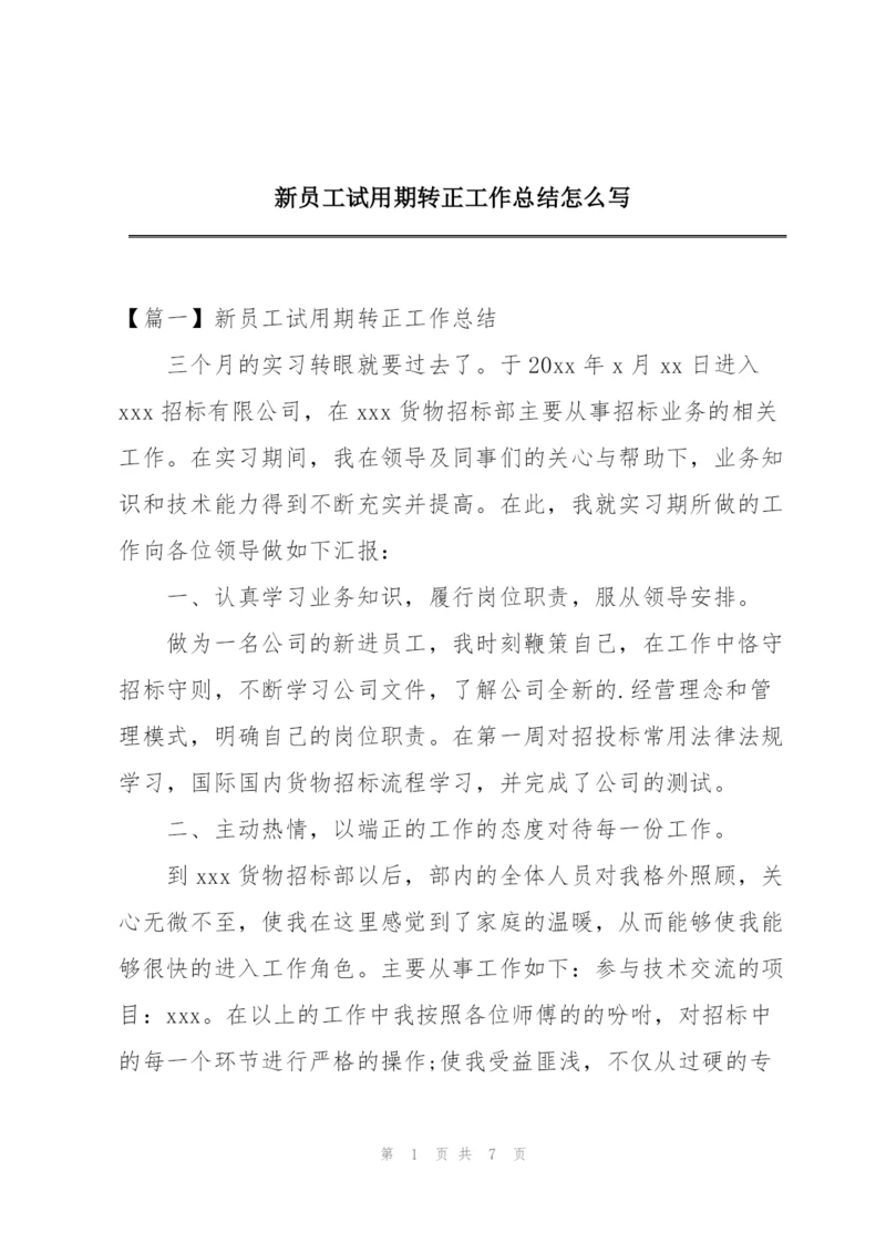 新员工试用期转正工作总结怎么写.docx