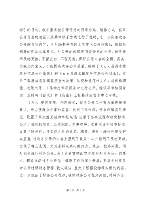 乡镇政务公开年度总结.docx