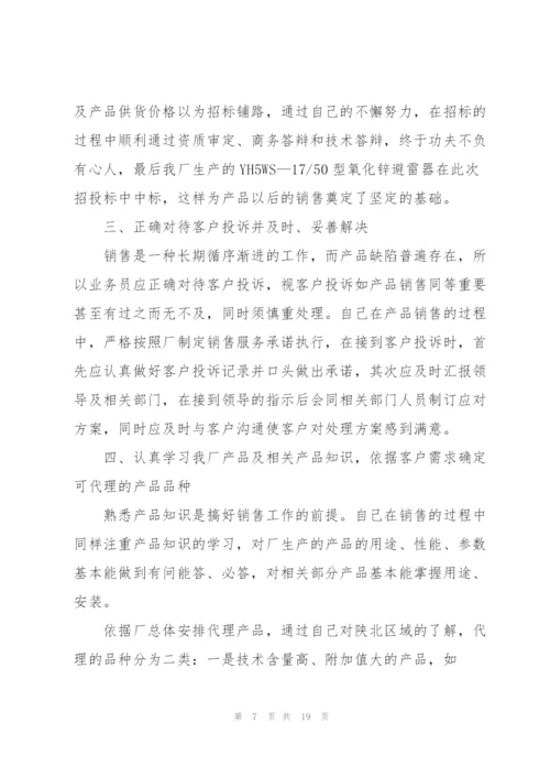 销售个人工作总结述职报告.docx