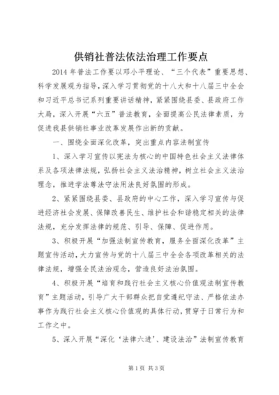 供销社普法依法治理工作要点.docx