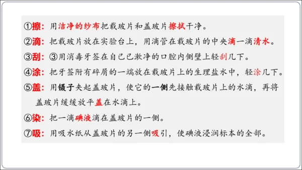 1.1&1.2 认识生物和细胞（复习课件）【2024人教新版七上生物高效完全备课】(共44张PPT)