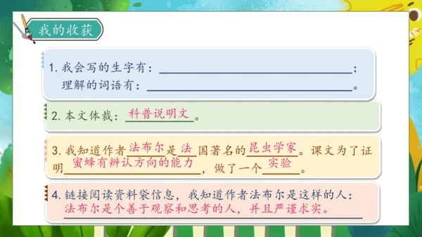 【核心素养】部编版语文三年级下册-14. 蜜蜂 第1课时（课件）