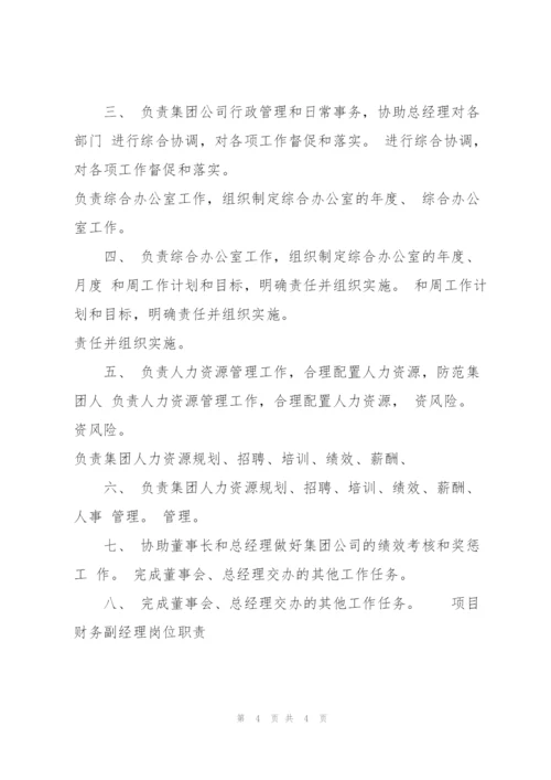 项目财务副经理岗位职责.docx